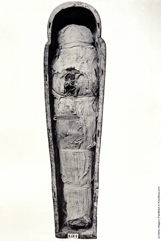 Egypt's Mummies