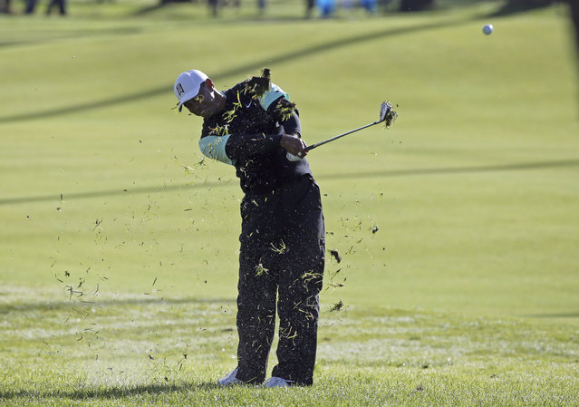 Tiger Woods hits from the second fairway rough as first-round play continues in the Genesis Open golf tournament at Riviera Country Club in the Pacific Palisades area of Los Angeles Friday, February 15, 2019. (Photo by Reed Saxon/AP Photo)