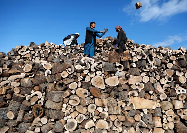 Afghan men work at their firewood stall in Kabul, Afghanistan on November 14, 2018. (Photo by Mohammad Ismail/Reuters)
