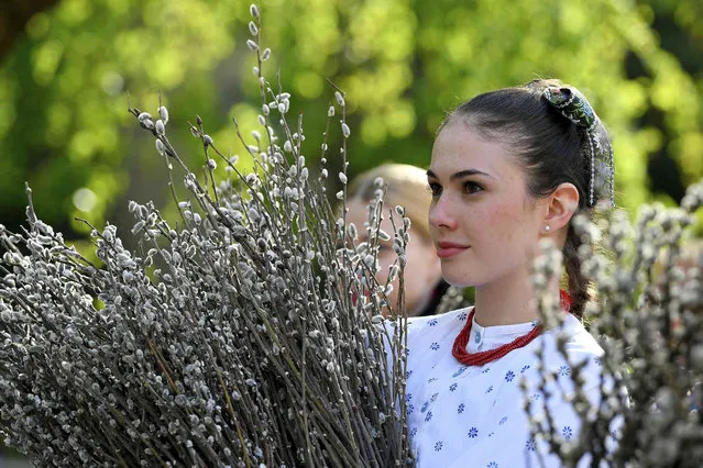 A young woman in folk costume prepares to give p*ssy willow to faithful during the Palm Sunday procession,  in Debrecen, some 220 kms east of Budapest, Hungary,  Sunday, April 14, 2019. On the Sunday before Easter the Catholic faithful celebrate the Biblical arrival of Jesus Christ to Jerusalem leading up to his crucifixion, which signifies the start of the Holy Week. (Photo by Zsolt Czegledi/MTI via AP Photo)