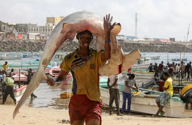 Osman Abdulahi carries fish at the Orobo beach in Hamarweyne district of Mogadishu, Somalia on November 5, 2021. (Photo by Feisal Omar/Reuters)