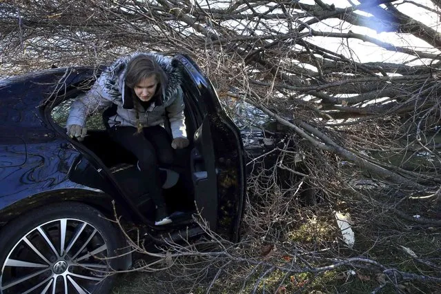Hannah Binder climbs out her car on Monday, December 13, 2021, after gathering some personal items from inside it because her insurance company totaled the car that was hit by a tree during Friday's tornado at her family's home and business, Brockmeier Sod Farm, in Edwardsville, Ill. The tornado damaged buildings, vehicles and trees on the property. (Photo by David Carson/St. Louis Post-Dispatch via AP Photo)