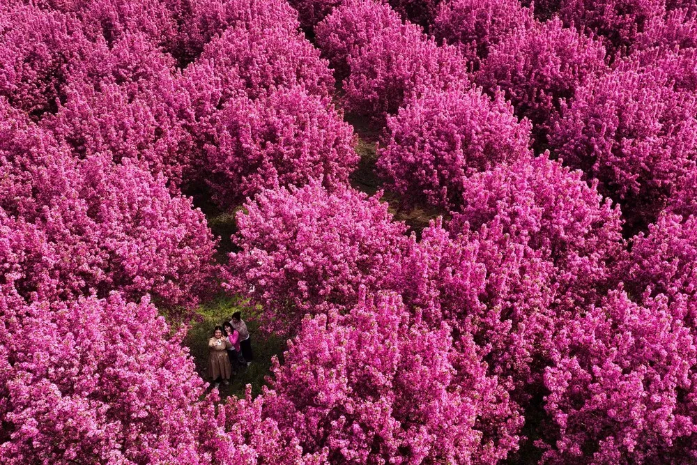 A Look at Life in China