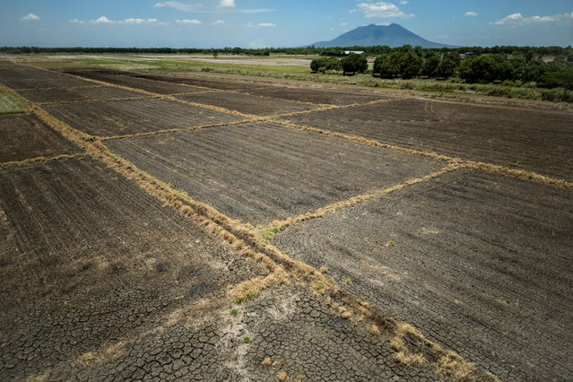 A drone view of damaged rice fields with dry and cracked soil amid extreme heat in Candaba, Pampanga, Philippines, on April 30, 2024. (Photo by Eloisa Lopez/Reuters)