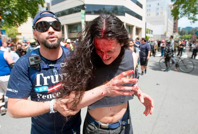 A Trump supporter (L) assists an injured man who was beat up as multiple fights continue to break out between Trump supporters and anti- Trump protesters in Berkeley, California on April 15, 2017. (Photo by Josh Edelson/AFP Photo)