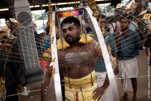 Singapore Hindus Celebrate Thaipusam Festival