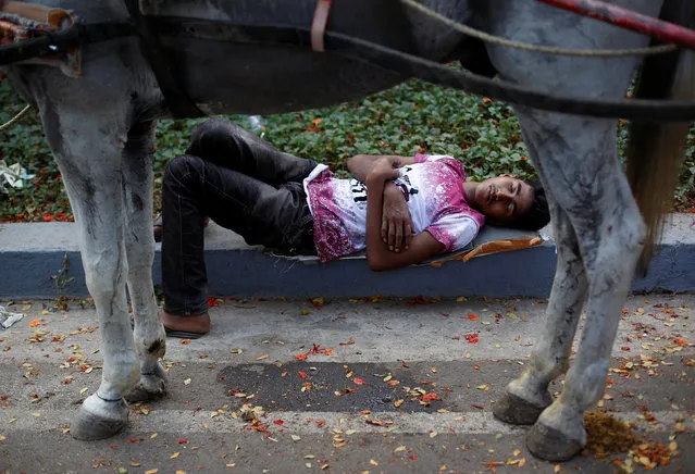 A man sleeps next to a horse cart on hot summer morning in Mumbai, India, May 29, 2016. (Photo by Danish Siddiqui/Reuters)