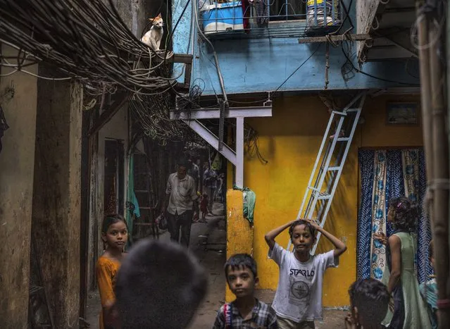 A cat sits on overhanging cables as children play in a narrow lane at a slum in Dharavi, Mumbai, India, Thursday, May 19, 2022. (Photo by Rafiq Maqbool/AP Photo)