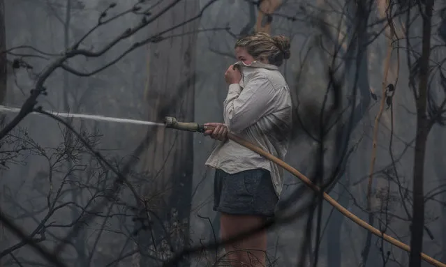 Lucy Sharman hoses down still-burning bushland beside a neighbour’s property on Moss Vale Road in Kangaroo Valley on January 5, 2020. (Photo by Jessica Hromas/The Guardian)