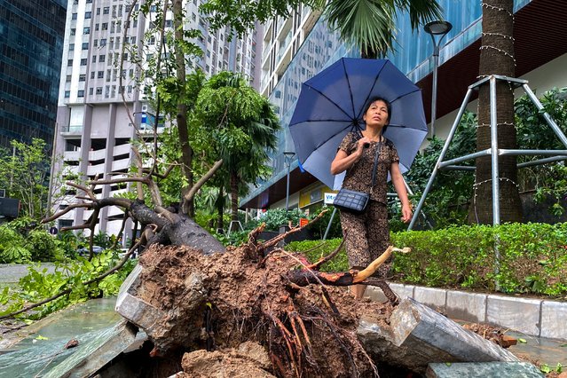 A woman walks past a fallen tree following the impact of Typhoon Yagi, in Hanoi, Vietnam, on September 8, 2024. (Photo by Thinh Nguyen/Reuters)