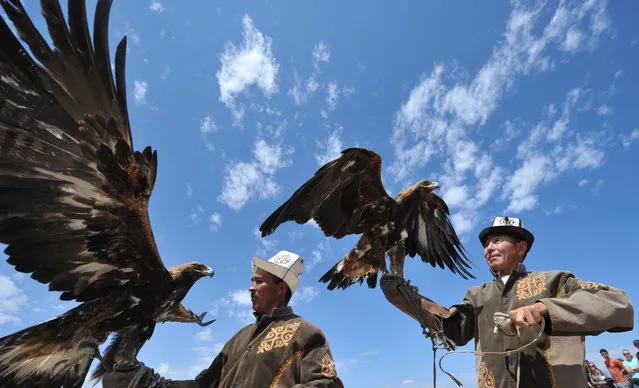 Kyrgyz berkutchy (eagle hunters) launch their birds Golden Eagle at the 'Ethno Fest' festival in the village of Ton, near Issyk- Kul lake, some 350 km from Bishkek, on July 15, 2017. (Photo by Vyacheslav Oseledko/AFP Photo)