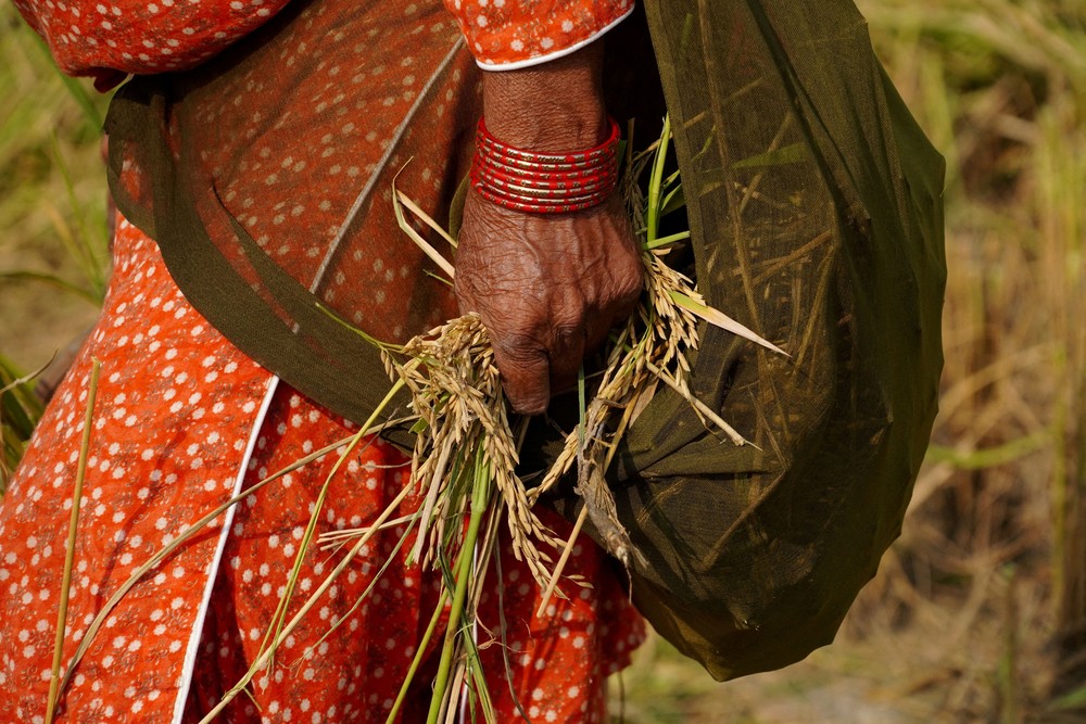 A Look at Life in India