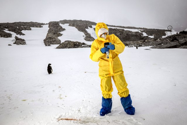 Turkish scientists conduct their studies on 'indirect and direct impacts of humans on aquatic ecosystems,' one of the priority scientific themes of national and international significance, during 9th National Antarctic Science Expedition, in Antarctica on February 20, 2025. The 9th National Antarctic Science Expedition continues under the auspices of the Turkish Presidency, Ministry of Industry and Technology and with the coordination of TUBITAK MAM Polar Research Institute. (Photo by Sebnem Coskun/Anadolu via Getty Images)