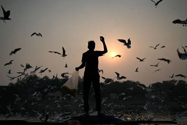 A man feeds seagulls along the banks of river Yamuna during the evening in New Delhi on November 2, 2022. (Photo by Sajjad Hussain/AFP Photo)