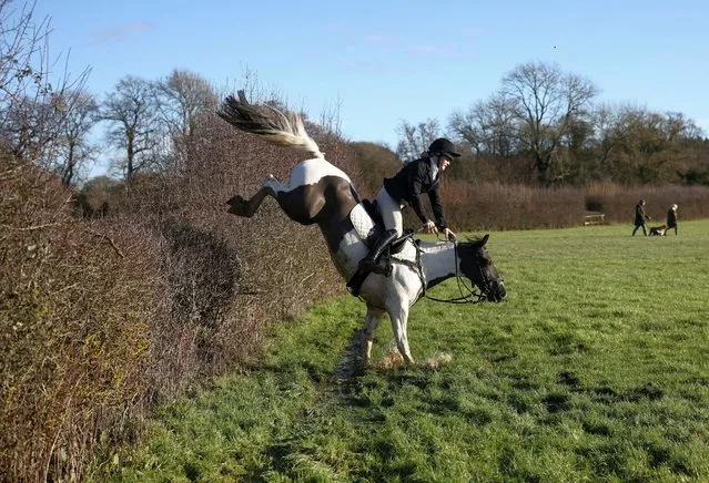 A member of the Old Surrey Burstow and West Kent Hunt jumps over a hedgerow during the annual Boxing Day hunt in Chiddingstone, Britain on December 26, 2022. (Photo by Henry Nicholls/Reuters)
