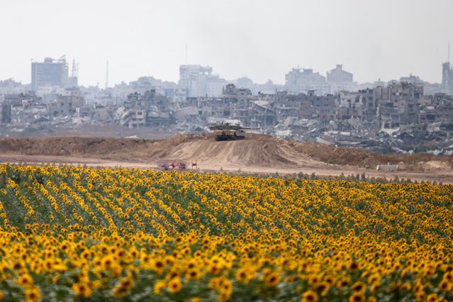 An Israeli army tank deploys near a sunflower field in Israel's southern border with the Gaza Strip on May 28, 2024, amid the ongoing conflict between Israel and the militant group Hamas. (Photo by Menahem Kahana/AFP Photo)