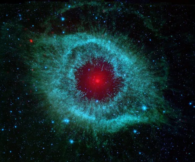 This infrared image from NASA's Spitzer Space Telescope shows the Helix nebula, a cosmic starlet often photographed by amateur astronomers for its vivid colors and eerie resemblance to a giant eye. (Photo by AP Photo/HO/NASA)