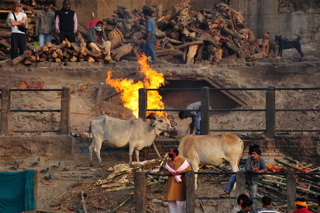 Varanasi: India's City of Death and Life