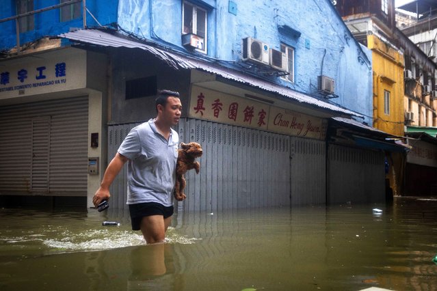 A man holds his dog while walking through a flooded street during the passage of Super Typhoon Ragasa in Macau on September 24, 2025. Fierce winds, pounding rain and high seas battered Hong Kong on September 24 as Super Typhoon Ragasa headed into southern China after causing a lake burst that killed at least 14 people in Taiwan. (Photo by Eduardo Leal/AFP Photo)