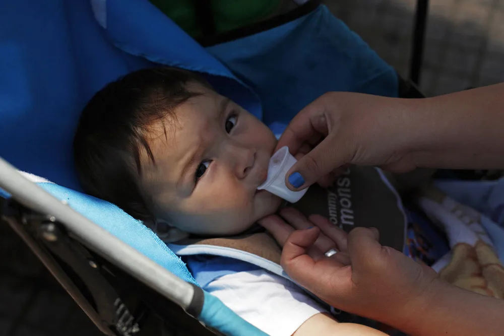 Fresh Donkey Milk for Sale on Streets of Chile