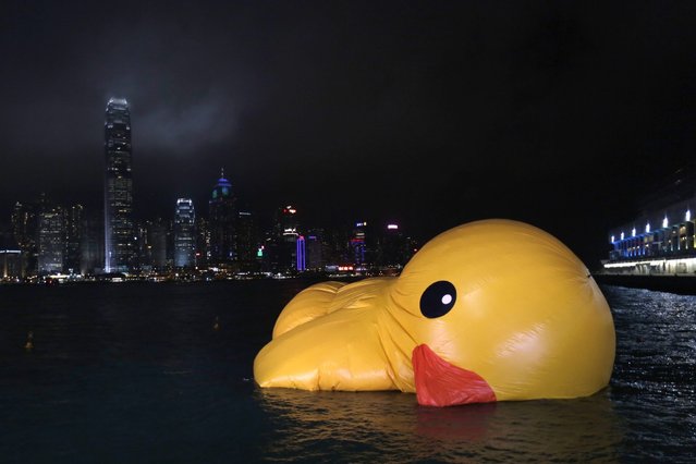 A deflated Rubber Duck by Dutch conceptual artist Florentijn Hofman floats on Hong Kong's Victoria Harbour, with the island skyline looming at the background, May 14, 2013. The 16.5-meter-high inflatable sculpture, which made its first public appearance in the territory on May 2, will be shown at the Ocean Terminal for a month. The Rubber Duck was deflated after some of its parts broke. (Photo by Tyrone Siu/Reuters)
