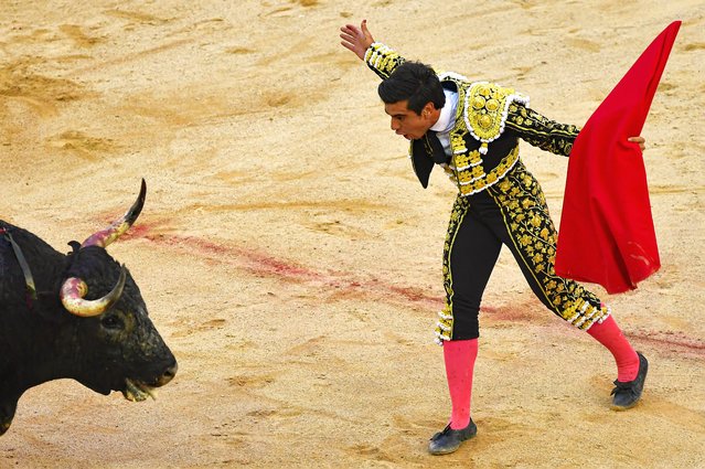 Bullfighter Jesus Enrique Colombo performs in the bullring during the final day of the San Fermin Festival in Pamplona, northern Spain, Sunday, July 14, 2024. Revellers from around the world flock to Pamplona every year for nine days of uninterrupted partying in Pamplona's famed running of the bulls festival. (Photo by Alvaro Barrientos/AP Photo)