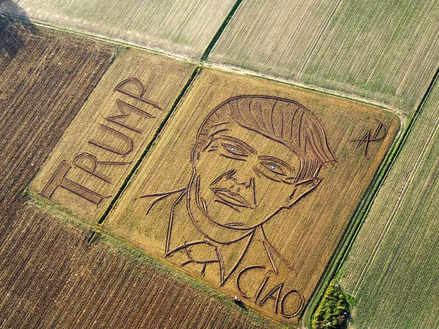 In this photo taken on Tuesday, October 25, 2016, an aerial view of a giant portrait of U.S. Republican Presidential nominee Donald Trump. Italian land artist Dario Gambarin has used his tractor to transform a field near the Italian city of Verona into a giant portrait of Donald Trump. This artist created a similar portrait for Democratic nominee Hillary Clinton in September. Gambarin created the portrait on a 25,000-square-meter field, writing “Ciao”, beneath Trump’s left shoulder, signifying recent polls that show Clinton leading the race. (Photo by Dario Gambarin via AP Photo)