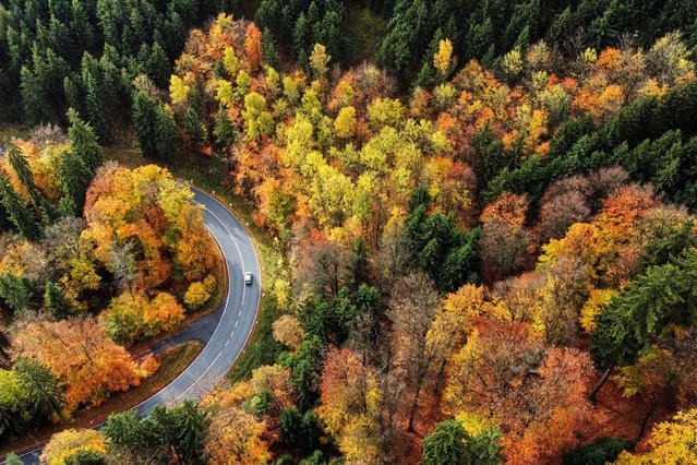 A car drives along the Fall coloured woods of the Taurus region near Frankfurt, Germany, Monday, October 27, 2025. (Photo by Michael Probst/AP Photo)