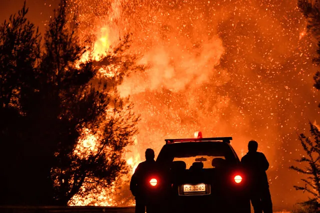 Firefighters stand near a pine forest wildfire fanned by strong winds near the village of Athikia, in Peloponnese area near Corinth late on July 22, 2020. Greek authorities evacuated five settlements as a precaution. Summer fires are frequent in Greece, with temperatures regularly over 30 degrees Celsius (86 degrees Fahrenheit). In July 2018 a fire left 102 people dead in the worst such tragedy in modern Greek history, in Mati, a coastal resort northeast of Athens. (Photo by Valérie Gache/AFP Photo)