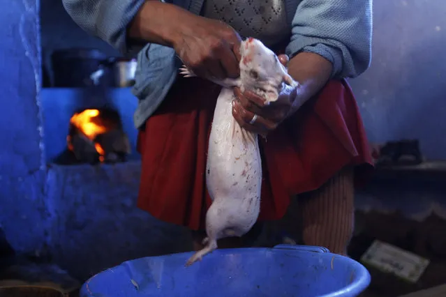 Octavia Ccahuata prepares a guinea pig for cooking in her kitchen, which is fitted with cooking equipment that save energy and reduce smoke emission as part of the “Hot Clean House” ecology project in the Andean town of Langui in Cuzco March 9, 2012. The Pontifical Catholic University of Peru (PUCP) developed the “Hot Clean House” project, which uses solar power to warm houses and energy-saving technologies for cooking to counter extreme cold weather in the highlands. These technologies have been implemented in communities in the highlands of Cuzco. (Photo by Mariana Bazo/Reuters)