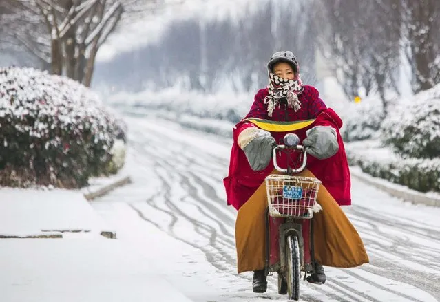 A woman rides her electric bicycle along a street amid snowfall in Lianyungang, Jiangsu province January 29, 2015. (Photo by Reuters/China Daily)