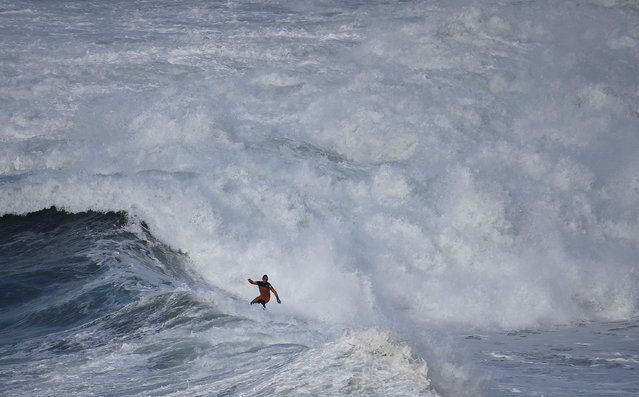 A surfer drops in on a large wave at Praia do Norte in Nazare, Portugal, November 19, 2016. (Photo by Rafael Marchante/Reuters)
