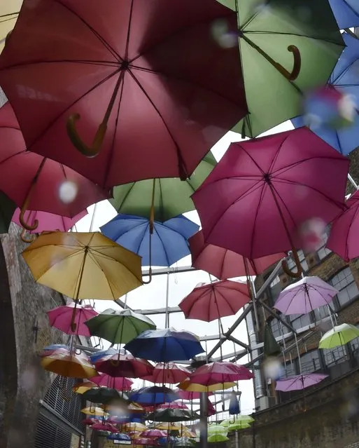 A sculpture constructed of umbrellas is seen in the rain in a street in central London, Britain, January 3, 2016. (Photo by Toby Melville/Reuters)