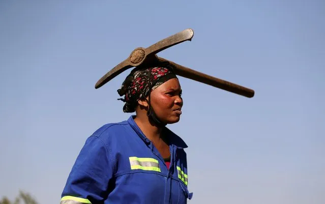 A woman arrives carrying a pickaxe on her head as fortune seekers flock to the village of KwaHlathi in search of what they believe to be diamonds, outside Ladysmith, KwaZulu-Natal province, South Africa June 14, 2021. (Photo by Siphiwe Sibeko/Reuters)