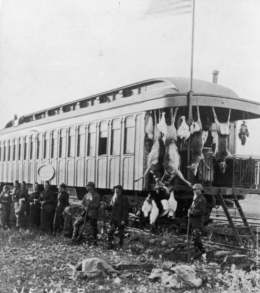 Hunting And Fishing. Part II