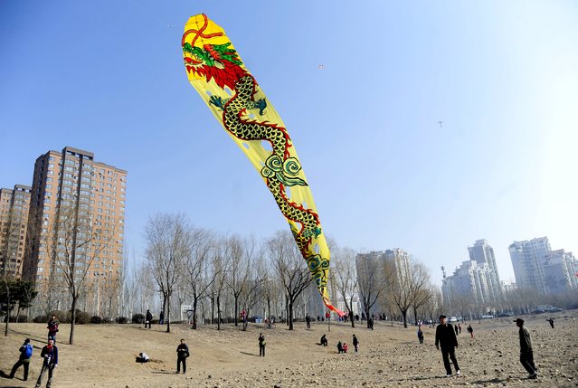 Residents fly a kite depicting a dragon to celebrate the Longtaitou Festival, at a park in Shenyang, Liaoning province March 21, 2015. Longtaitou, which means dragon raising its head, is a traditional Chinese festival held on the second day of the second month of the Chinese lunar calendar, which falls on Saturday this year. (Photo by Reuters/Stringer)