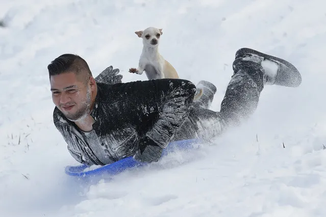 Jonny Mendoza and his dog Subi sled down a snowy hill in a park Monday, November 26, 2018, in Kansas City, Kan. A winter storm brought blizzard-like conditions dumping about 6 inches of snow on the the Kansas City area Sunday before moving east Monday, grounding hundreds of flights and causing some road traffic chaos as commuters returned to work after the Thanksgiving weekend. (Photo by Charlie Riedel/AP Photo)