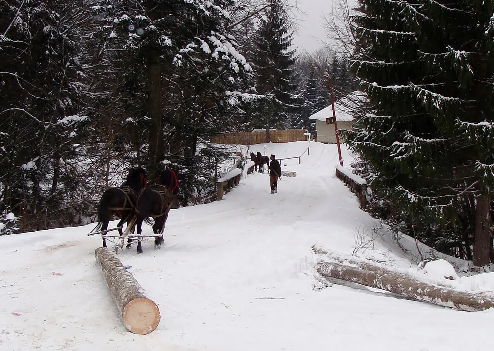 Workhorse in the Past