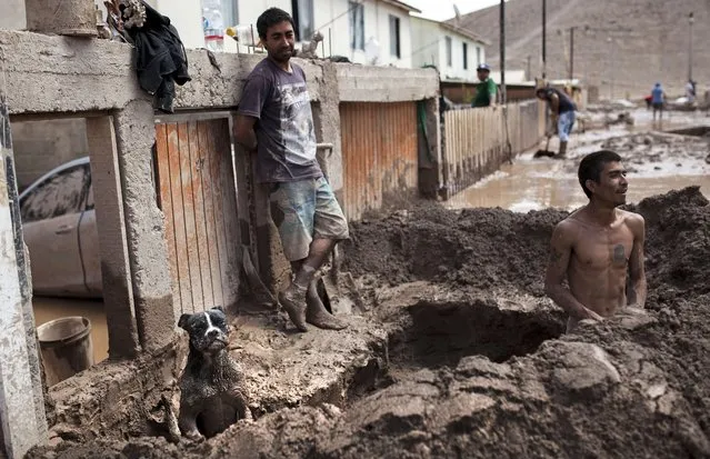 A man digs a gutter to drain water from his house after heavy rainfall  caused the overflowing of the Copiapo river and the flooding of parts of the city in northern Chile, on March 30, 2015. At least 17 people were killed in flash floods that hit a normally arid region of northern Chile last week, and about the same number remain missing, authorities said Monday. (Photo by Patricio Miranda/AFP Photo)