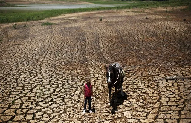 Paula, 7, poses with her horse on the cracked ground of Atibainha dam, part of the Cantareira reservoir, in Nazare Paulista, near Sao Paulo, Brazil, February 12, 2015. (Photo by Nacho Doce/Reuters)