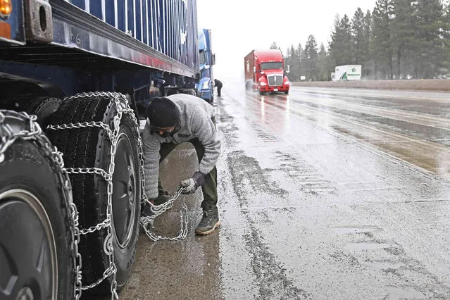 Mangal Singh parks his truck off the I-80 to puts chains on his truck wheels in preparation for the snow storm over the Sierra Nevada on Thursday, February 29, 2024, in Truckee, Calif.  A Pacific storm packing powerful winds and heavy snow is shaping up to be the strongest of the season, forecasters say. (Photo by Andy Barron/AP Photo)