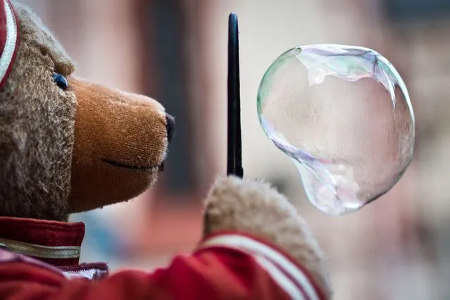 A plush teddy makes a soap bubble on February 23, 2014 in Frankfurt am Main, central Germany. (Photo by Frank Rumpenhorst/AFP Photo/DPA)