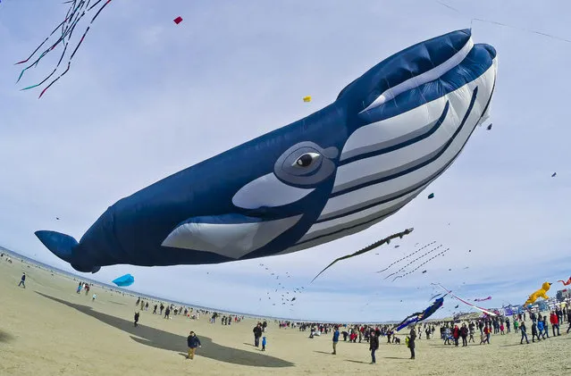 Participants fly kites on the beach during the town’s 30th International Kite Festival in Berck sur Mer, France on April 10, 2016. (Photo by Sipa Press/Rex Features)