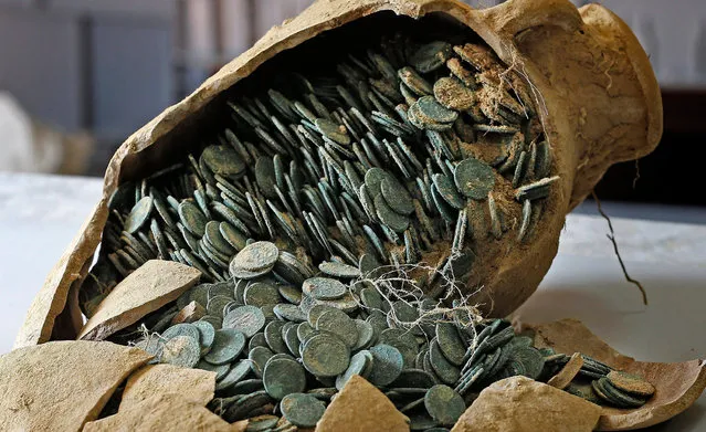 A picture made available on 29 April 2016 shows one of 19 Roman amphoras discovered in the town of Tomares, near Seville, containing around 600 kg of bronze and silver coins dating from the 4th century, in Seville, southern Spain, 28 April 2016. The amphoras, unearthed during excavation works for an electric main close to Zaudin Park in Tomares, are full with coins that are being examined by archeologists from Seville. The coins may have been part of a tax collection or levies paid to the army, according to first theories of experts. (Photo by Jose Manuel Vidal/EPA)