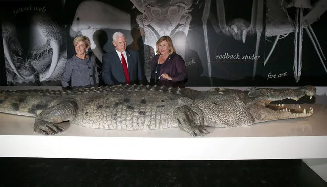 U.S. Vice President Mike Pence (C) observes a life-size replica of an Australian saltwater crocodile during his visit to the Australian Museum with Australian Foreign Minister Julie Bishop (L) and the museum's Executive Director Kim McKay in Sydney, Australia, April 22, 2017. (Photo by David Moir/Reuters)