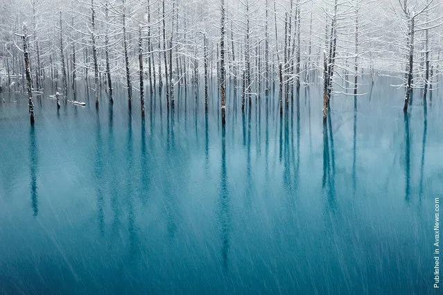 Blue Pond & First Snow