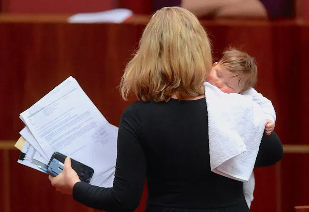 Australian Senator Larissa Waters of the Greens Party carries her daughter Alia Joy during debate in the Australian Senate on school funding at Parliament House in Canberra, Australia June 21, 2017. (Photo by Lukas Coch/Reuters/AAP)