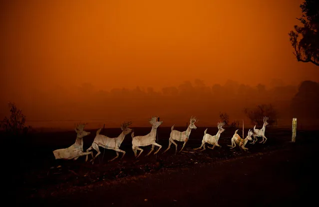 Christmas decorations are seen nearby a destroyed house in Cobargo, as bushfires continue in New South Wales, Australia on January 5, 2020. (Photo by Tracey Nearmy/Reuters)
