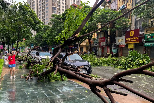 A woman walks past a fallen tree following the impact of Typhoon Yagi, in Hanoi, Vietnam, on September 8, 2024. (Photo by Thinh Nguyen/Reuters)