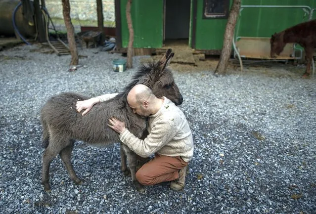 Mert Akkok hugs his donkey at his farm house in Istanbul, Turkey, 06 February 2022 (issued 17 May 2022). Mert Akkok lives with 18 dogs, three cats, a blind horse, a donkey and 46 seagulls. The 48-year-old entrepreneur takes in injured or sick animals in his garden in Istanbul. At first it was just the dogs, Mert said, “but now I don't know the actual numbers of them”. Sometimes he brought an injured or sick stray dog home when he lived in an apartment in downtown Istanbul. After a while, as the number of animals increased and he moved to a farm house in a village close to the city. (Photo by Erdem Sahin/EPA/EFE)
